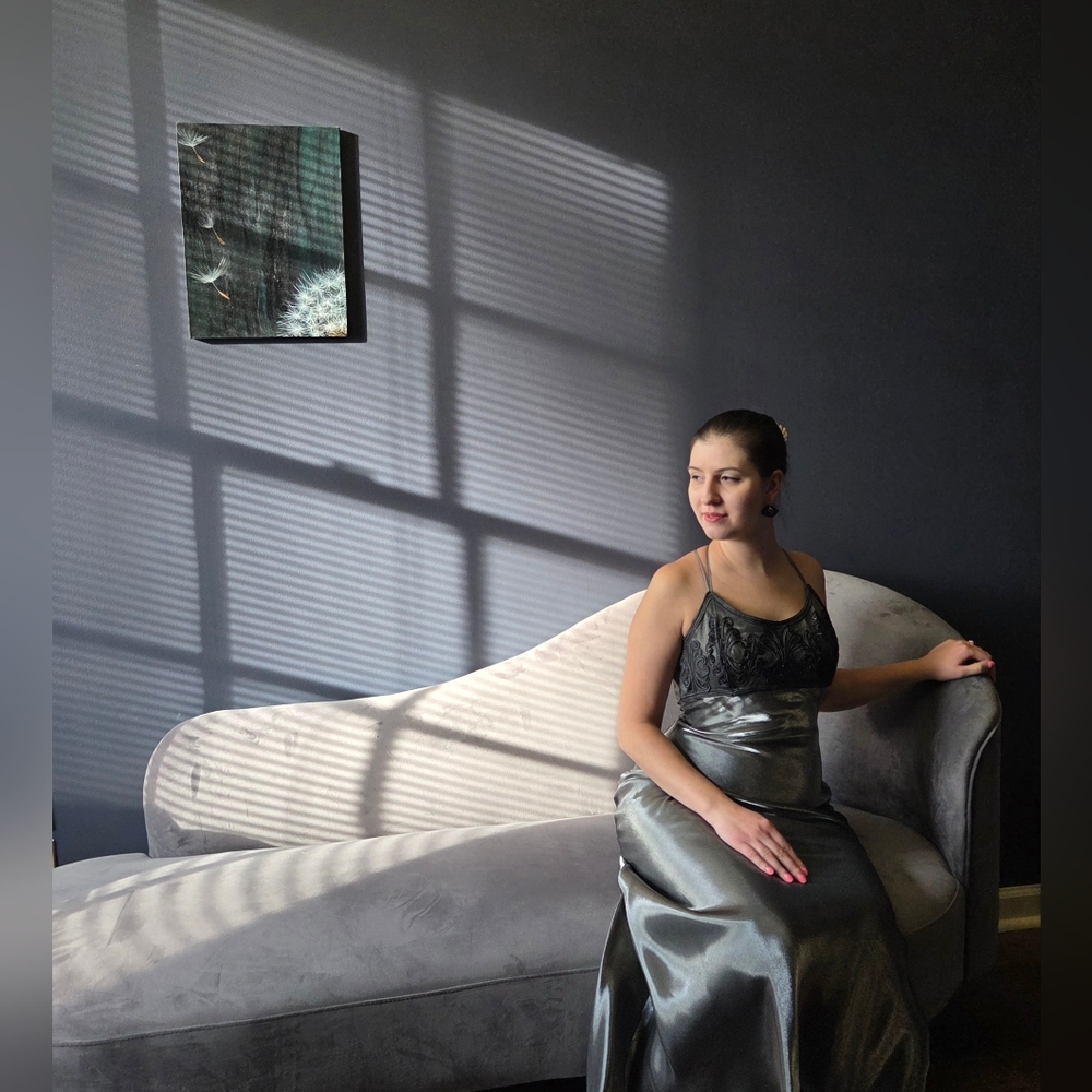 Elegant Black and Gray Satin Nightgown